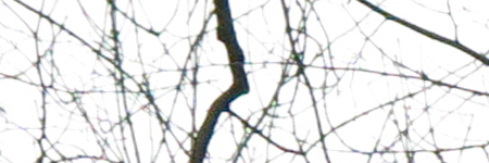 Canon PowerShot G1 X Mark II: významné zlepšení