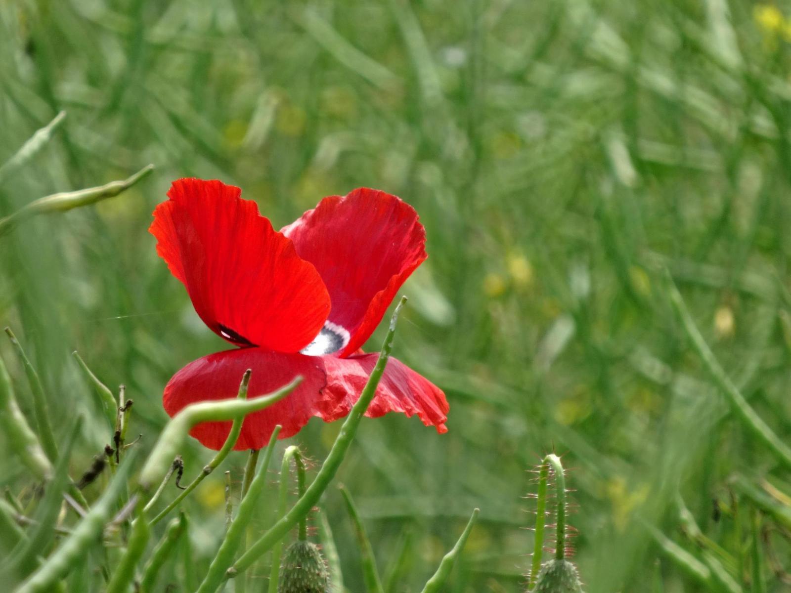 Sony Cyber-shot WX300: nejmenší dvacítka