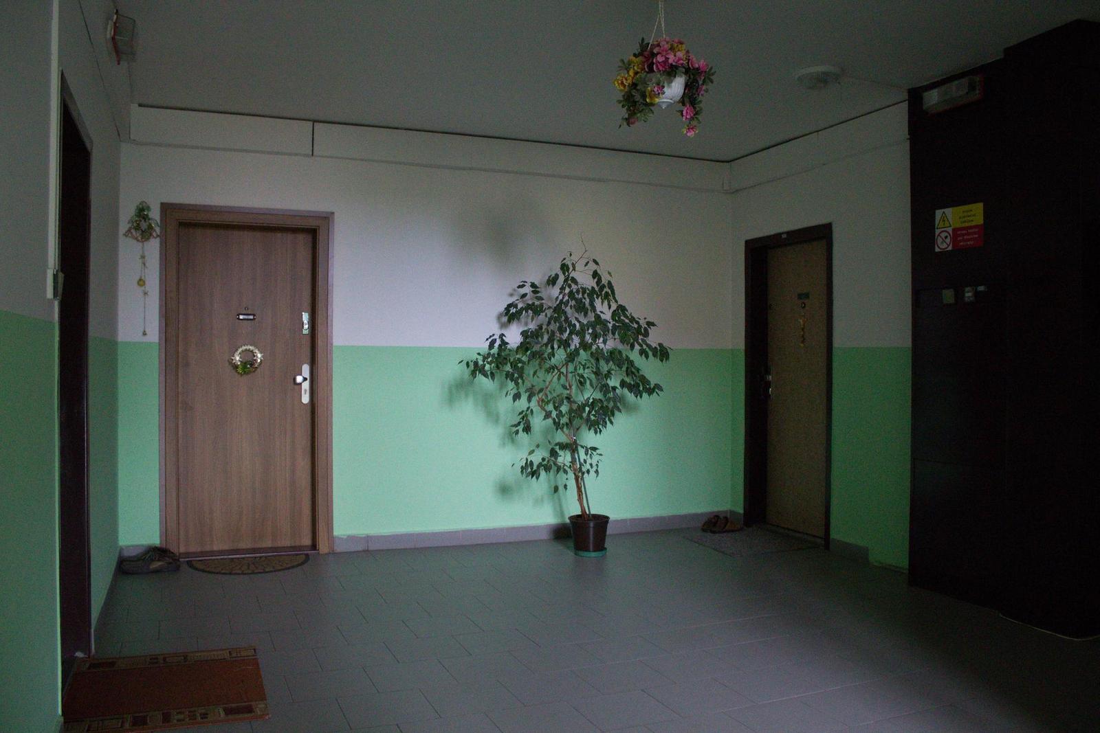 DSLR vs kompakt: Canon EOS 1200D s 18-55mm, Sony RX100