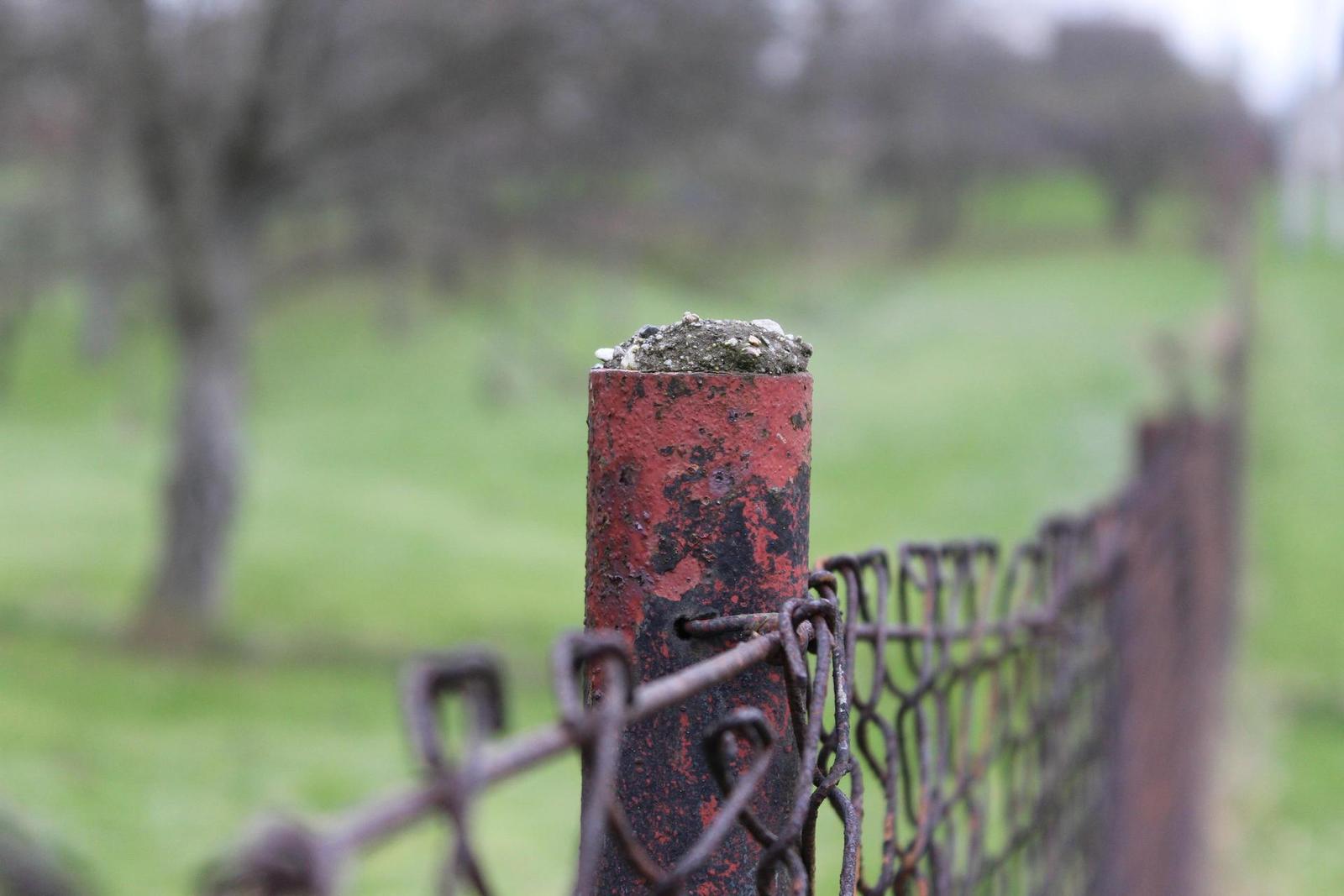 DSLR vs kompakt: Canon EOS 1200D s 18-55mm, Sony RX100