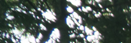 Sony E PZ 18-105mm F4 G OSS (SELP18105G)