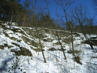 Caplio R1: Široká kompaktní náruč