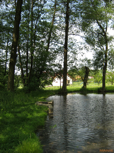 Canon PowerShot A800: šikula za pár stovek