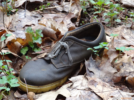 Sony Cyber-shot HX20V: umí snad všechno