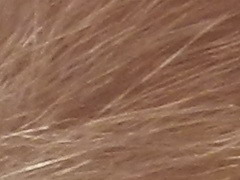 Nikon Coolpix P500: univerzální dalekohled