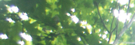 Canon FL 35mm 1:2.5 (FL/FD)