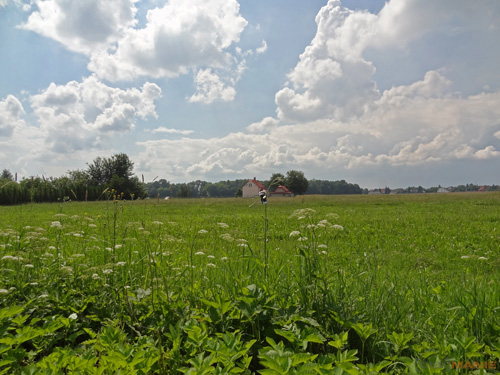 Fotíme s Koalou: Zoom a perspektiva