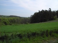 Konica Minolta Dimage E50 - pro každého něco...