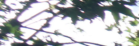 Sony Carl Zeiss Vario-Tessar T* 16-70mm F4 OSS (SEL1670Z)