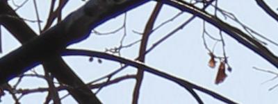 Megatest ultrazoomových objektivů