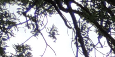 Nikon Coolpix P510: lovec rekordů