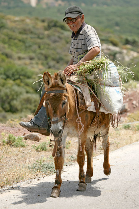 Jaký fotoaparát? – 2. díl: kategorie II