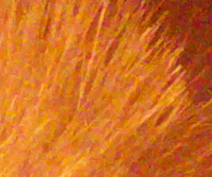 Fujifilm FinePix HS10: ultrazoom roku?