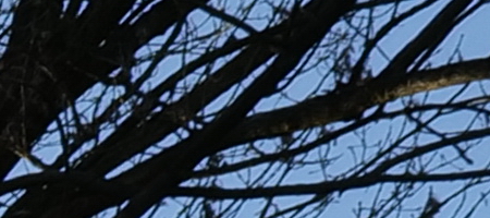 Panasonic Lumix S 20-60mm F3.5-5.6