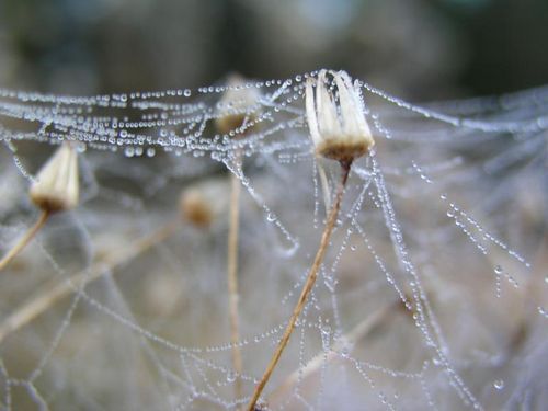 Letní soutěžení s Canonem