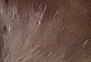 Sony a3000 (ILCE-3000): CSC co nejlevněji