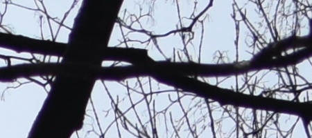 Nikon AF-S DX NIKKOR 35mm f/1.8G