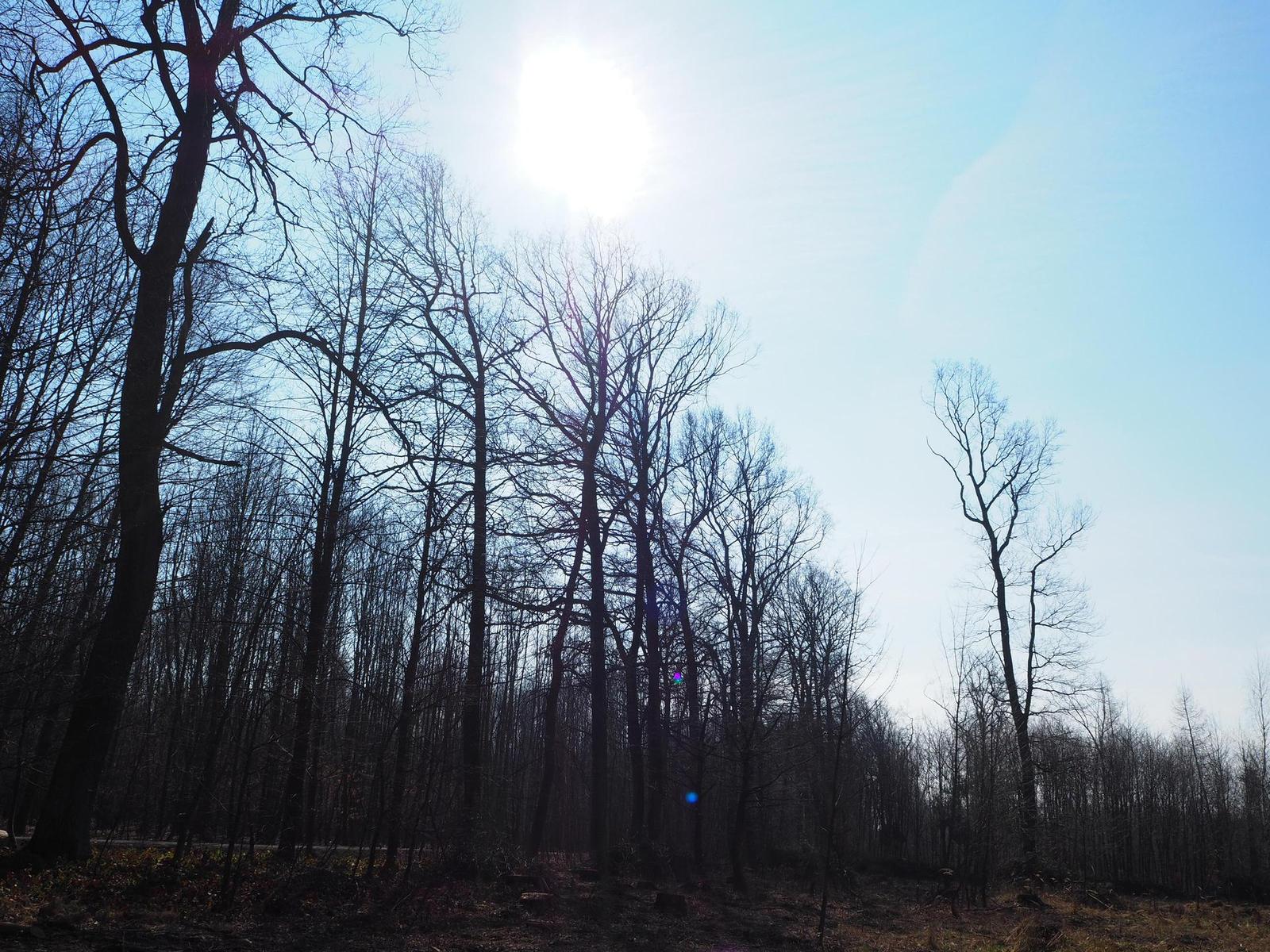 Olympus M.Zuiko Digital ED 14-42mm 1:3.5-5.6 EZ Pancake