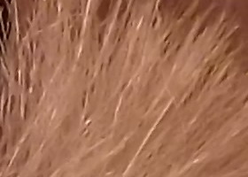 Fujifilm FinePix T200: nejlevnější ultrazoom Fuji