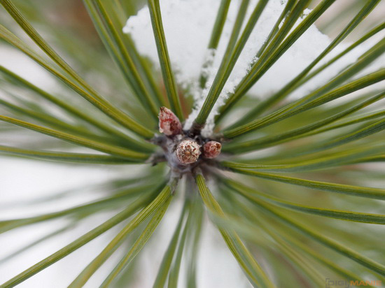 Olympus M.Zuiko Digital ED 12-50mm 1:3,5-6,3 EZ