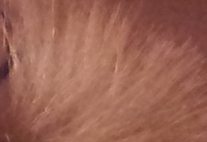 Samsung Galaxy S II: přemožitel kompaktů?