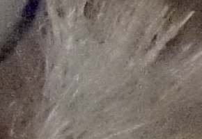 Sony SLT-A58: silný základ