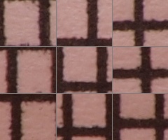 Olympus M.Zuiko Digital 40-150 mm F4-5,6 + nová R verze