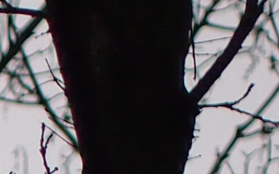 Olympus M.Zuiko Digital 45mm 1:1.8