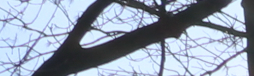 Canon EF-S 18-135mm f/3.5-5.6 IS Nano USM