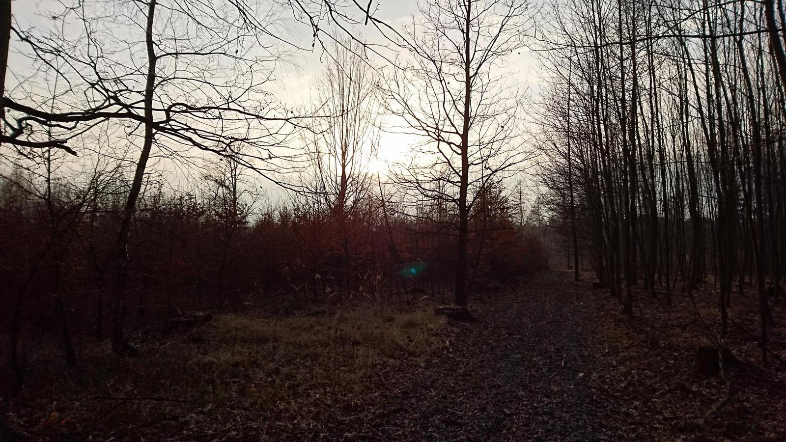 Sony Xperia Z5 a Z5 Compact: foťme širokoúhle