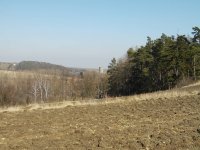 Pentagram Photon 484: Svérázný 4 Mpix ultrazoom