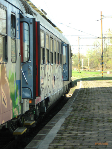 Canon PowerShot A590 IS: malý, ale šikovný