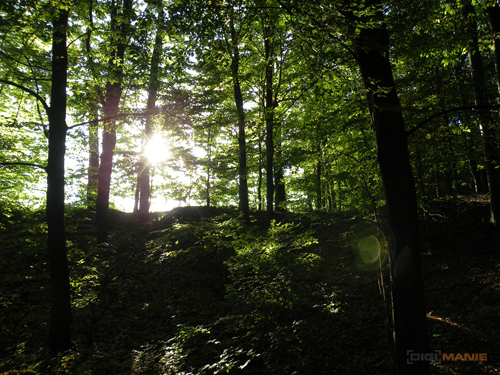 Nikon Coolpix P80: ultrazoom plný protikladů