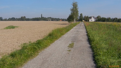 Nikon Coolpix S9100: rudý bojovník