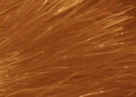 Sony Alpha SLT-A35: úspěšně proti zrcadlovkám