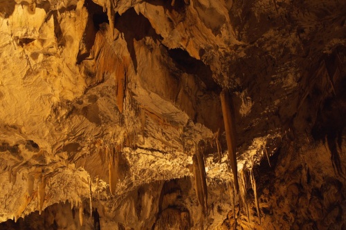 Za fotkami do Moravského krasu