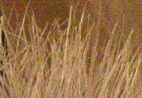 Sony NEX-7: správná (r)evoluce