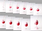 Digitální zrcadlovka Mamiya ZD s 22 Mpix čipem