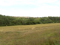 Acer CP-8660: zajímavý rebrand