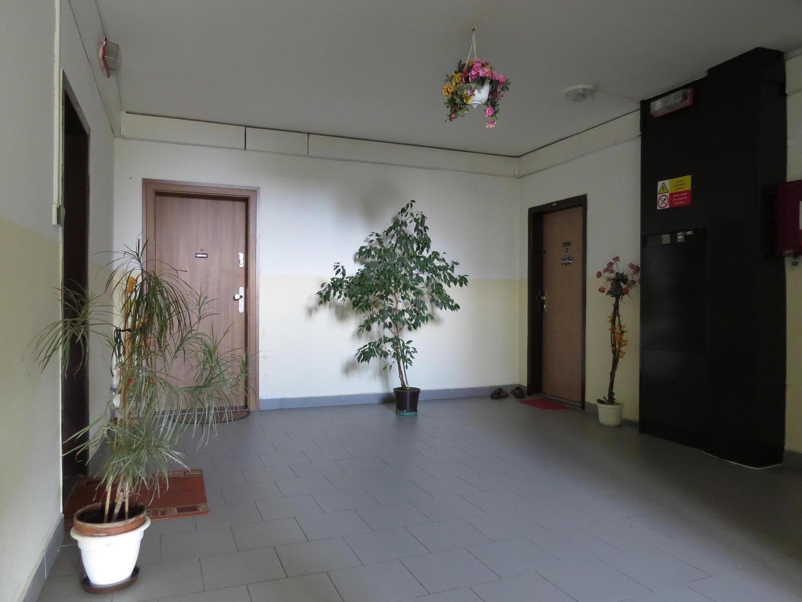 Canon PowerShot SX50 HS: překvapivá kombinace