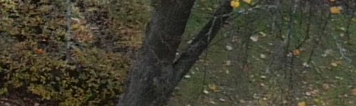 Panasonic Lumix LX100 II: postřehy z praxe