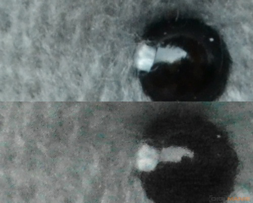 Fotíme s Koalou: ISO citlivost