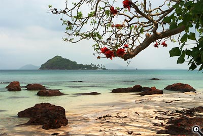 Cesta ke kvalitní fotografii: 1.díl