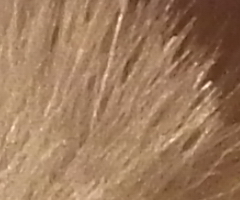 Fujifilm FinePix HS10: ultrazoom roku?