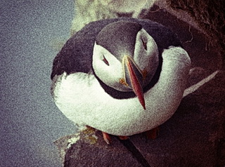 Nik Color Efex Pro 4: oblíbené filtry počtvrté