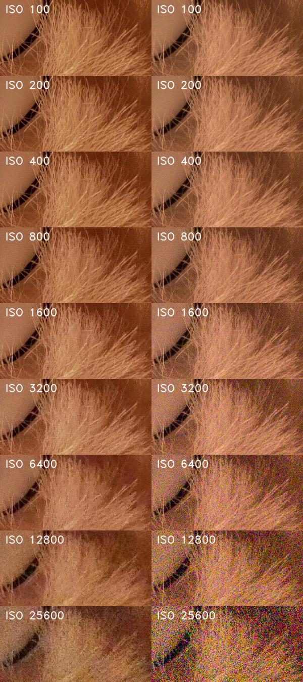 Panasonic Lumix G80: takřka dokonalost