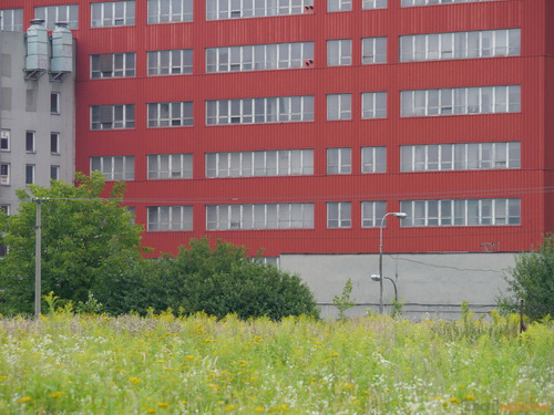 Panasonic Lumix G Vario 100-300mm F4-5,6