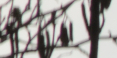 Nikon AF-S NIKKOR DX 55-300mm 1:4.5-5.6G ED VR