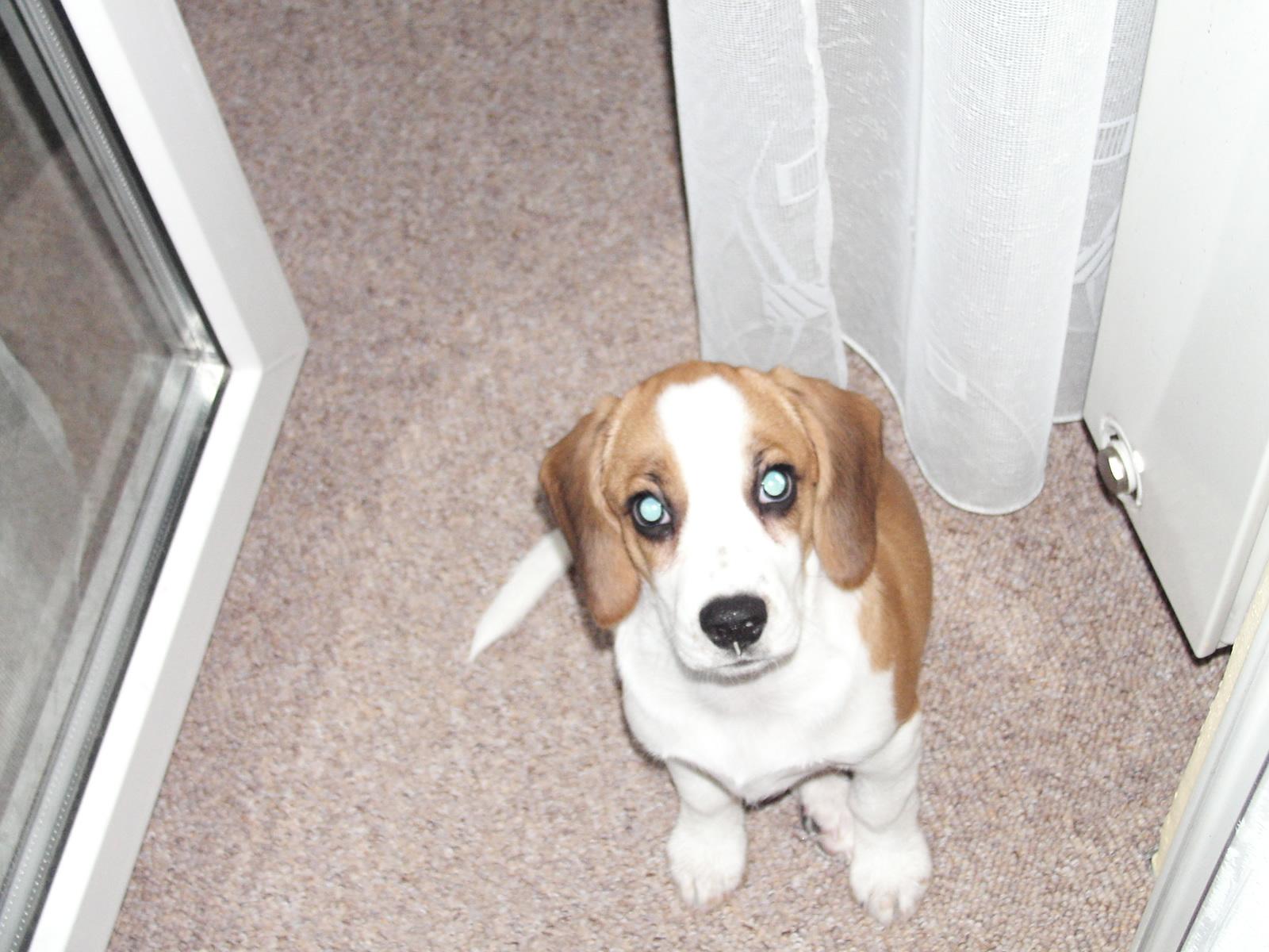 Kyocera M410R: síla šedesátinásobného přiblížení černé krasavice