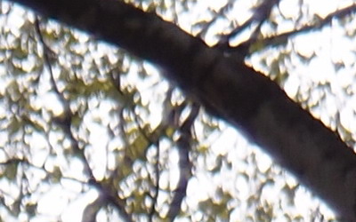 Olympus XZ-1: trefa do černého